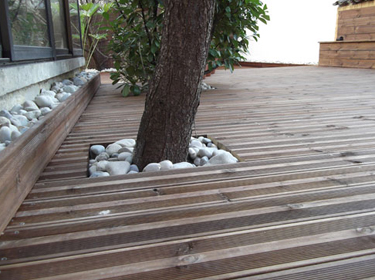 Terrasse bois en pin